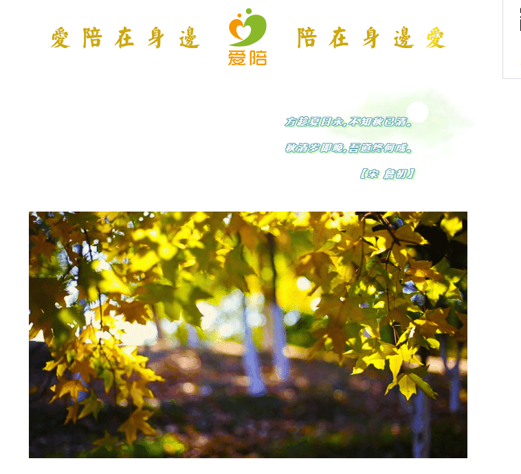 秋清歲即晚,吾道終何成?--共享陪護床為何而生