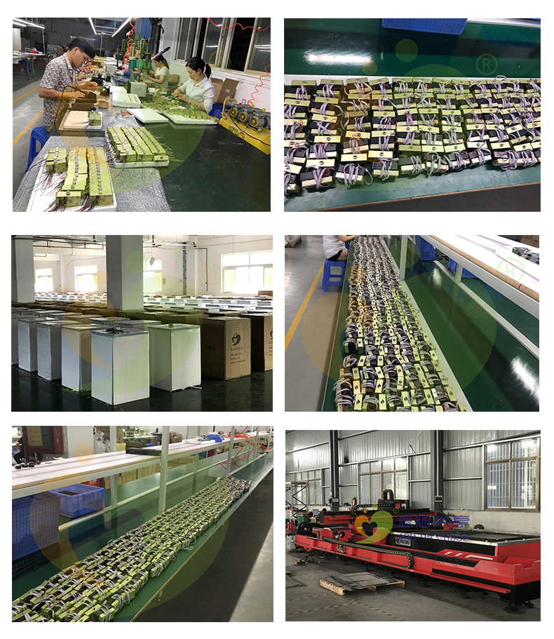 1587095633166369.jpg 381.jpg